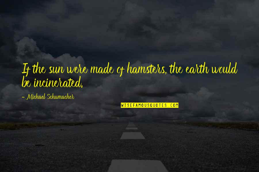 Retomada Quotes By Michael Schumacher: If the sun were made of hamsters, the Retomada Quotes By Michael Schumacher: If the sun were made of hamsters, the