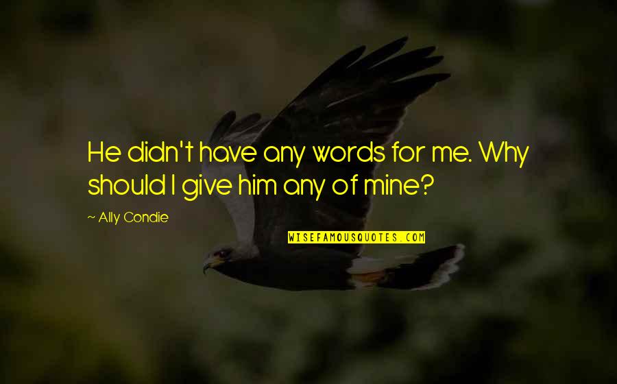 Retrasos De Menstruacion Quotes By Ally Condie: He didn't have any words for me. Why