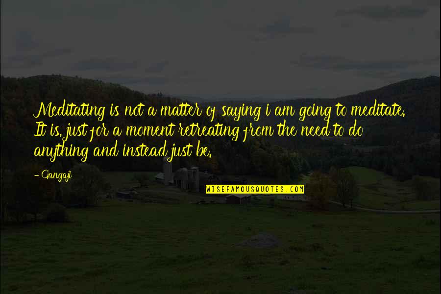 Retreating Quotes By Gangaji: Meditating is not a matter of saying i