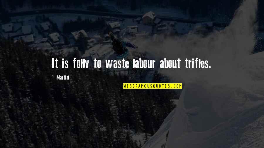 Retreating Quotes By Martial: It is folly to waste labour about trifles.