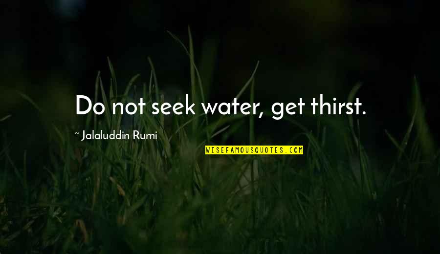 Retro Music Quotes By Jalaluddin Rumi: Do not seek water, get thirst.