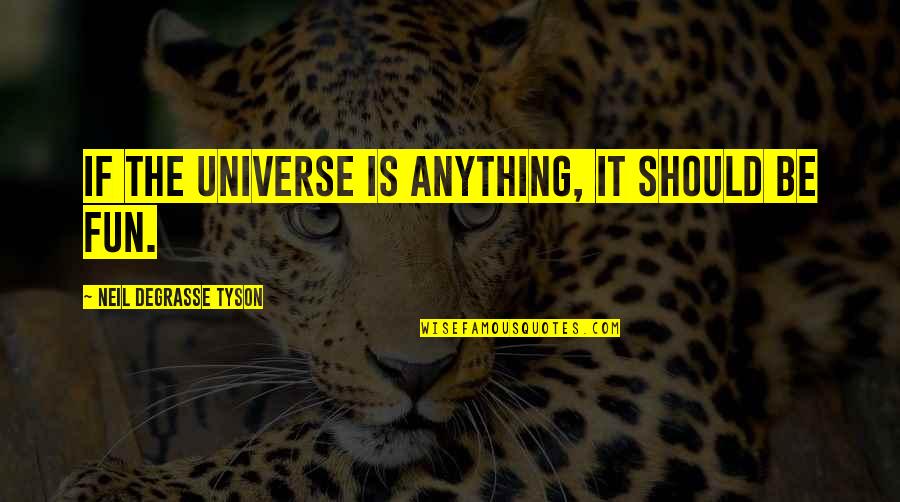 Retro Party Quotes By Neil DeGrasse Tyson: If the universe is anything, it should be