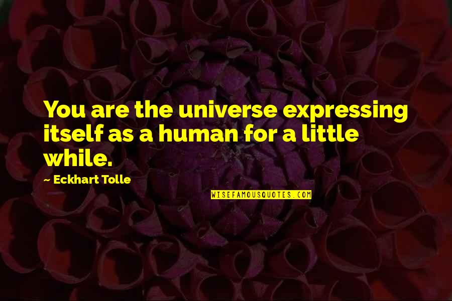 Retrospection Hudson Quotes By Eckhart Tolle: You are the universe expressing itself as a