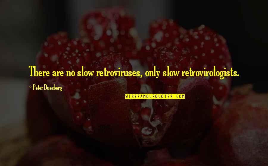 Retroviruses Quotes By Peter Duesberg: There are no slow retroviruses, only slow retrovirologists.