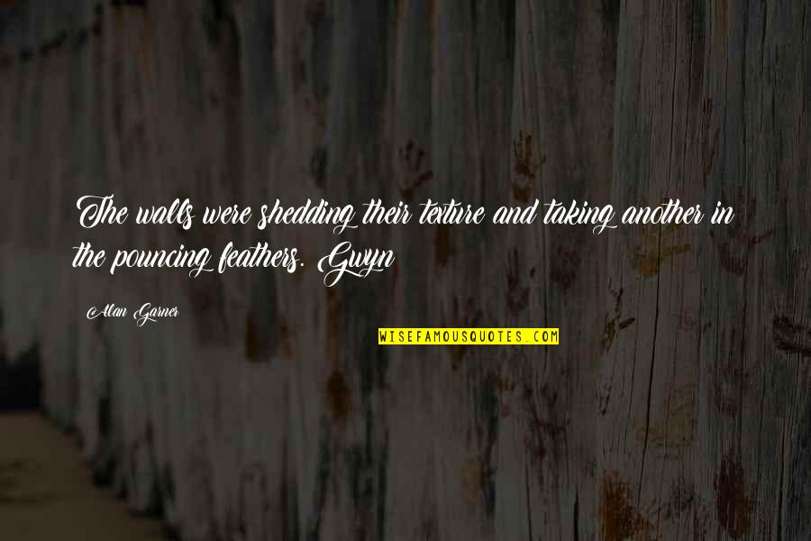 Returning Back To Home Quotes By Alan Garner: The walls were shedding their texture and taking