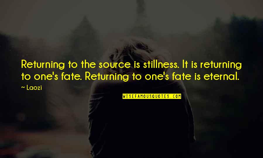 Returning Quotes By Laozi: Returning to the source is stillness. It is