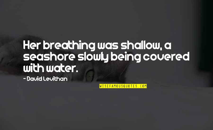 Retweets Quotes By David Levithan: Her breathing was shallow, a seashore slowly being