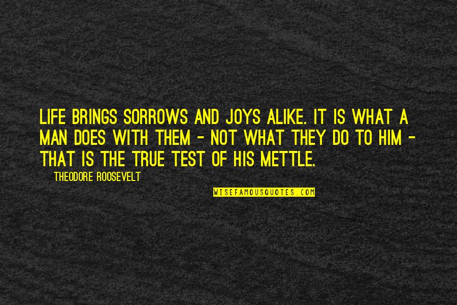 Revah Anzaldua Quotes By Theodore Roosevelt: Life brings sorrows and joys alike. It is Revah Anzaldua Quotes By Theodore Roosevelt: Life brings sorrows and joys alike. It is