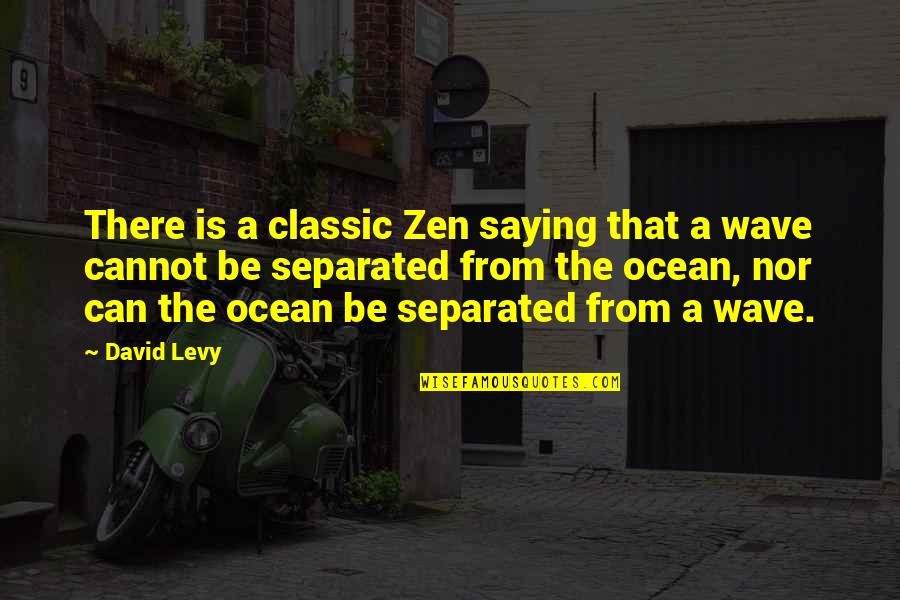 Revah Navamshan Quotes By David Levy: There is a classic Zen saying that a Revah Navamshan Quotes By David Levy: There is a classic Zen saying that a