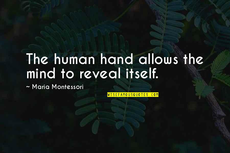 Reveal'd Quotes By Maria Montessori: The human hand allows the mind to reveal