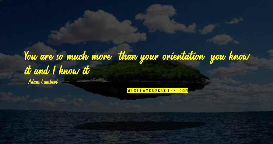 Revellers Synonym Quotes By Adam Lambert: You are so much more, than your orientation,
