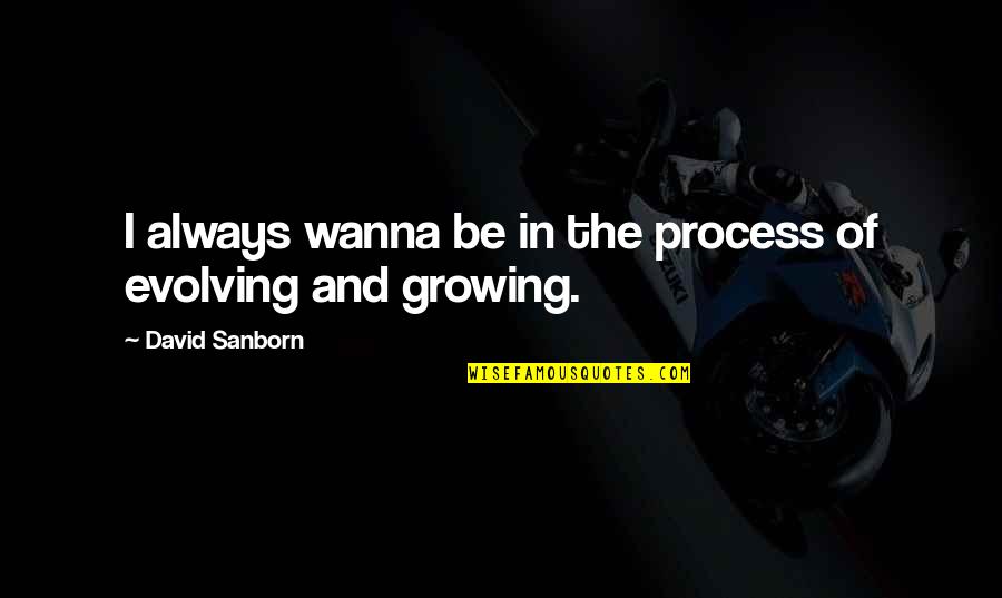 Revendiquent Quotes By David Sanborn: I always wanna be in the process of Revendiquent Quotes By David Sanborn: I always wanna be in the process of
