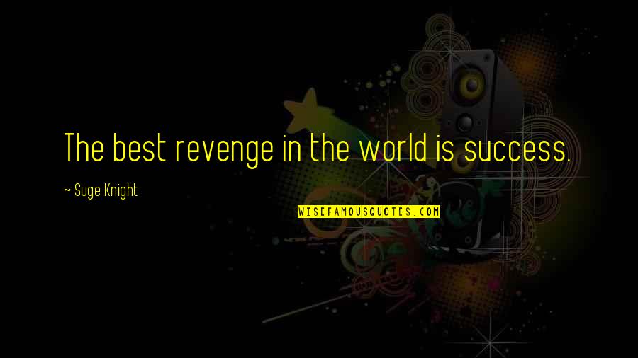 Revenge Success Quotes By Suge Knight: The best revenge in the world is success.