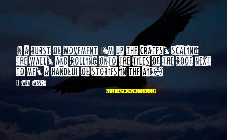 Revengeance Quotes By Sara Raasch: In a burst of movement I'm up the