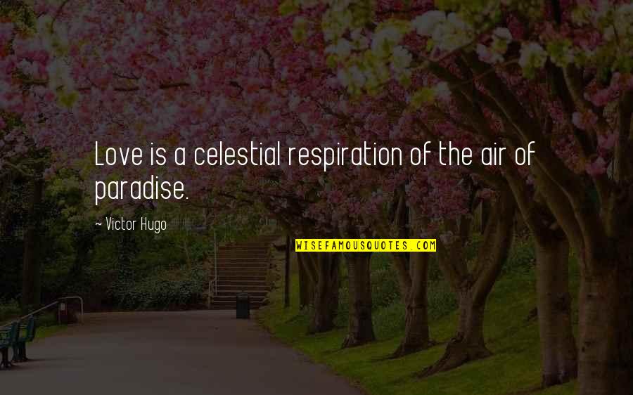 Reverberi Pumps Quotes By Victor Hugo: Love is a celestial respiration of the air