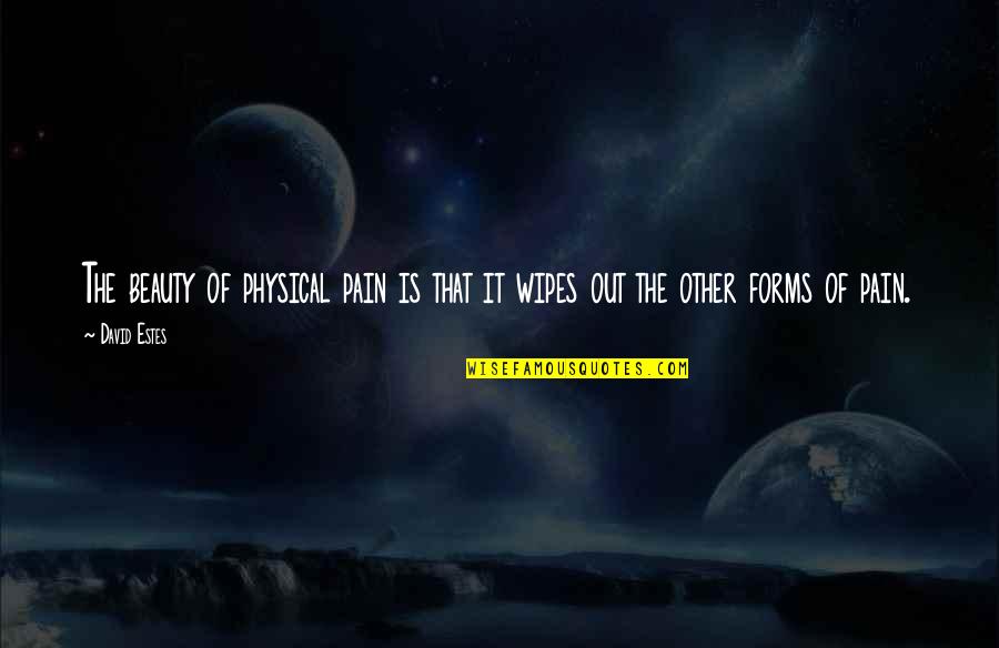 Reverbero De Alcohol Quotes By David Estes: The beauty of physical pain is that it