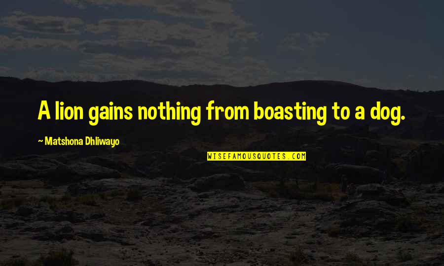 Revere Group Quotes By Matshona Dhliwayo: A lion gains nothing from boasting to a Revere Group Quotes By Matshona Dhliwayo: A lion gains nothing from boasting to a