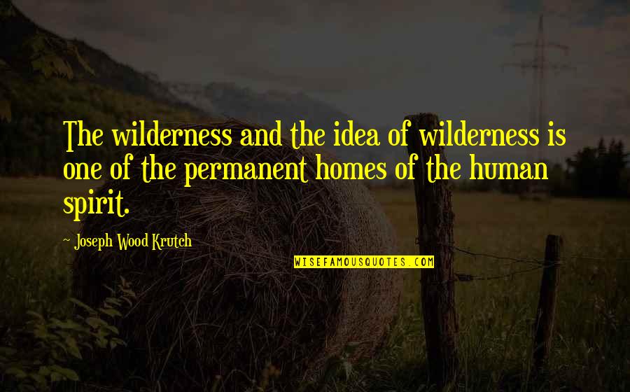 Reverend Jesse Jackson Quotes By Joseph Wood Krutch: The wilderness and the idea of wilderness is