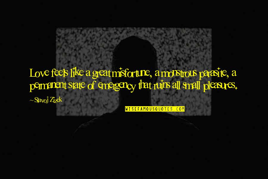 Revette Lake Quotes By Slavoj Zizek: Love feels like a great misfortune, a monstrous Revette Lake Quotes By Slavoj Zizek: Love feels like a great misfortune, a monstrous