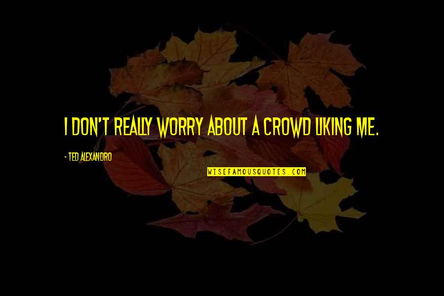 Reviation Quotes By Ted Alexandro: I don't really worry about a crowd liking Reviation Quotes By Ted Alexandro: I don't really worry about a crowd liking