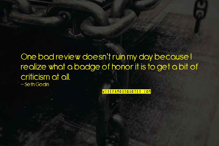 Review Quotes By Seth Godin: One bad review doesn't ruin my day because
