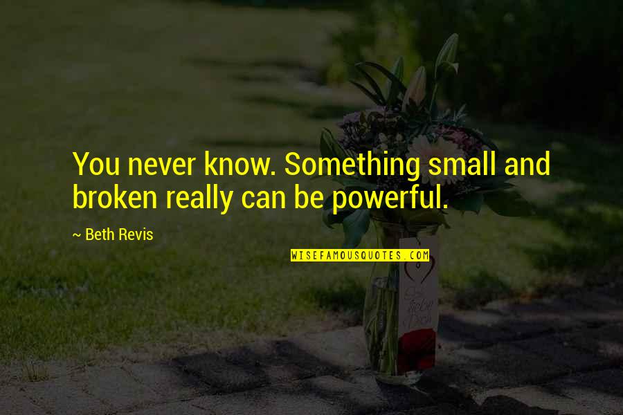 Revis Quotes By Beth Revis: You never know. Something small and broken really