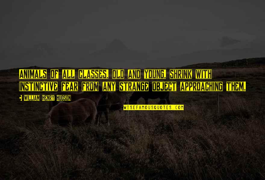 Revitalising Relics Quotes By William Henry Hudson: Animals of all classes, old and young, shrink Revitalising Relics Quotes By William Henry Hudson: Animals of all classes, old and young, shrink