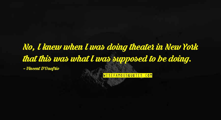 Revolteth Quotes By Vincent D'Onofrio: No, I knew when I was doing theater Revolteth Quotes By Vincent D'Onofrio: No, I knew when I was doing theater