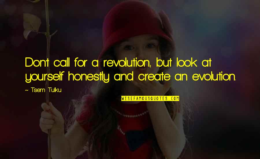 Revolution And Evolution Quotes By Tsem Tulku: Don't call for a revolution, but look at