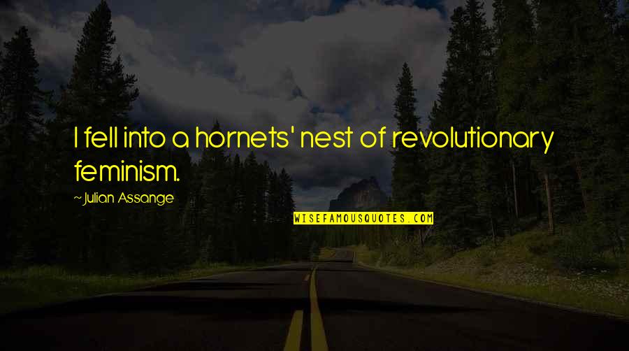 Revolutionary Quotes By Julian Assange: I fell into a hornets' nest of revolutionary