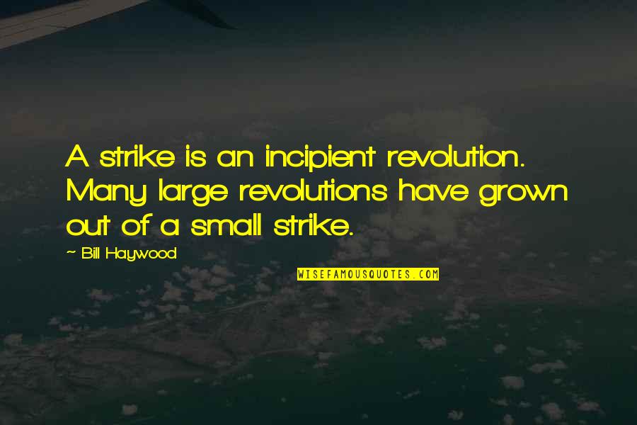 Revolutions Quotes By Bill Haywood: A strike is an incipient revolution. Many large