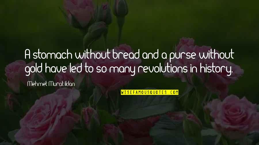 Revolutions Quotes By Mehmet Murat Ildan: A stomach without bread and a purse without