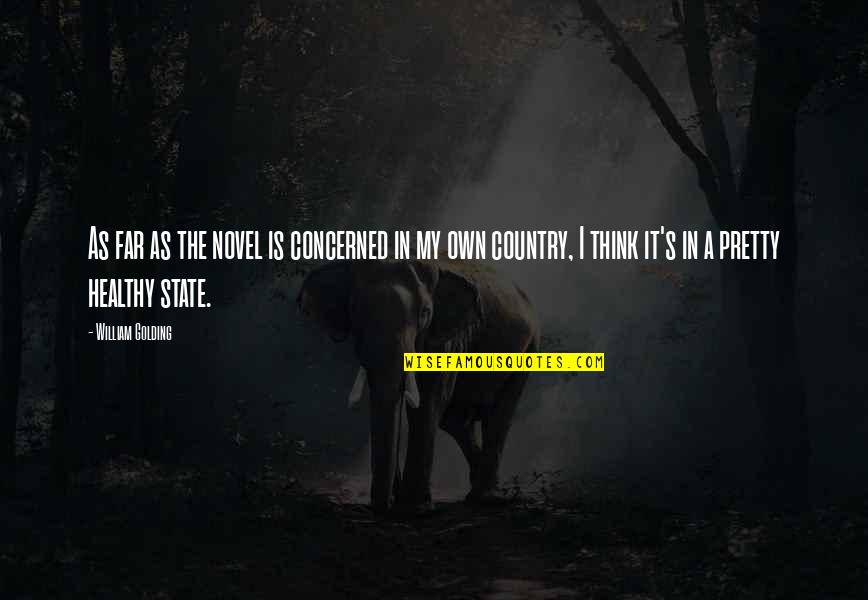 Revuelta De Los Comuneros Quotes By William Golding: As far as the novel is concerned in