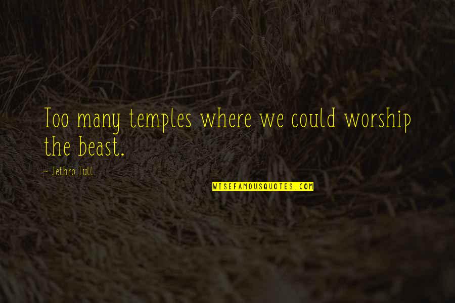 Reward For Hard Work Quotes By Jethro Tull: Too many temples where we could worship the