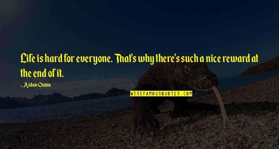 Reward Quotes By Aidan Quinn: Life is hard for everyone. That's why there's