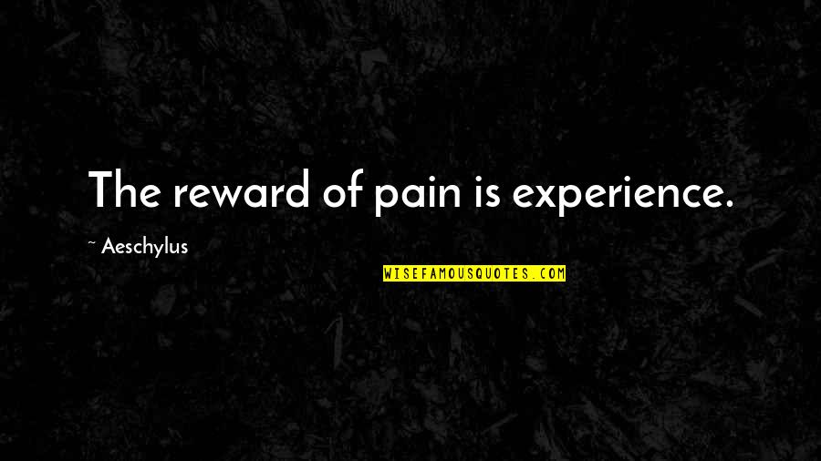 Rewards Quotes By Aeschylus: The reward of pain is experience. Rewards Quotes By Aeschylus: The reward of pain is experience.