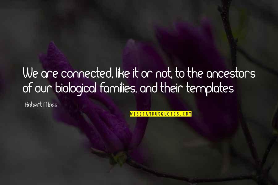 Reyez Singer Quotes By Robert Moss: We are connected, like it or not, to