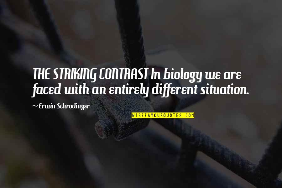 Reynaldi Mbayang Quotes By Erwin Schrodinger: THE STRIKING CONTRAST In biology we are faced Reynaldi Mbayang Quotes By Erwin Schrodinger: THE STRIKING CONTRAST In biology we are faced