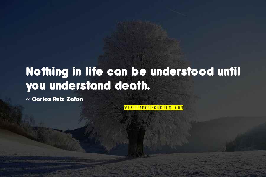 Reyniers Eede Quotes By Carlos Ruiz Zafon: Nothing in life can be understood until you