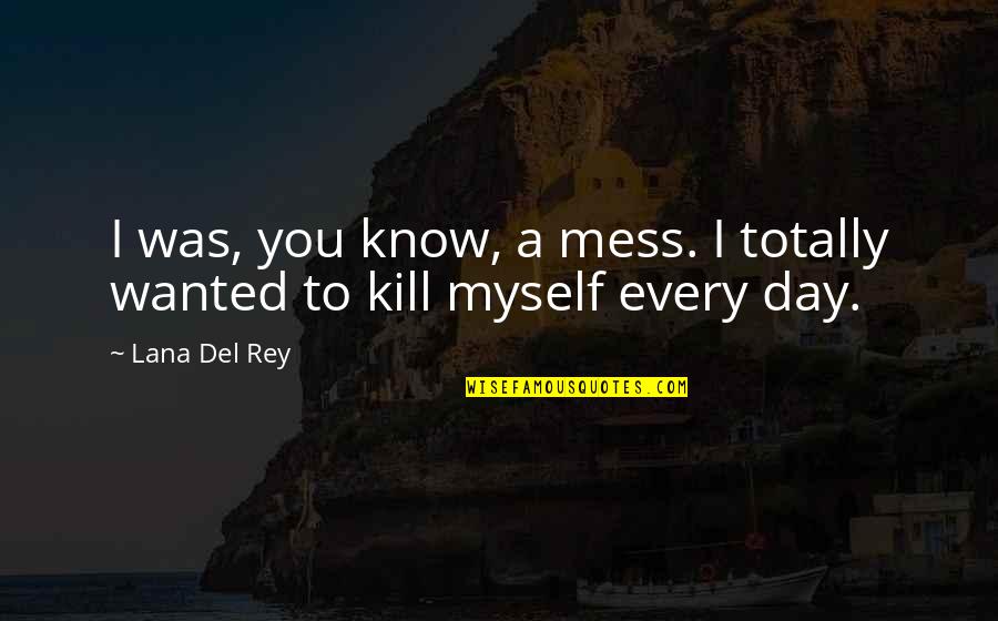 Rey's Quotes By Lana Del Rey: I was, you know, a mess. I totally