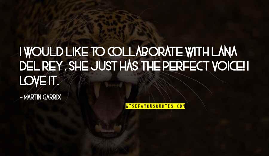 Rey's Quotes By Martin Garrix: I would like to collaborate with Lana Del Rey's Quotes By Martin Garrix: I would like to collaborate with Lana Del