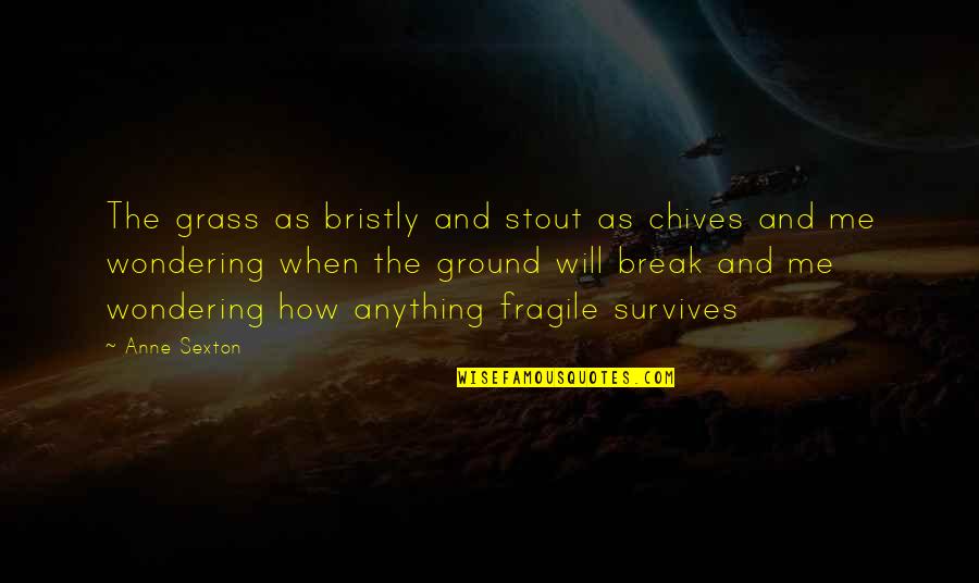 Rhau's Quotes By Anne Sexton: The grass as bristly and stout as chives Rhau's Quotes By Anne Sexton: The grass as bristly and stout as chives
