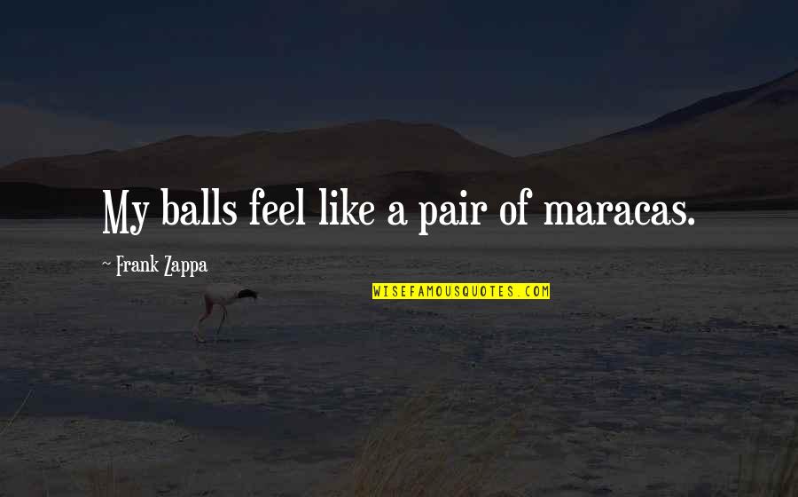 Rheinheimer And Associates Quotes By Frank Zappa: My balls feel like a pair of maracas.