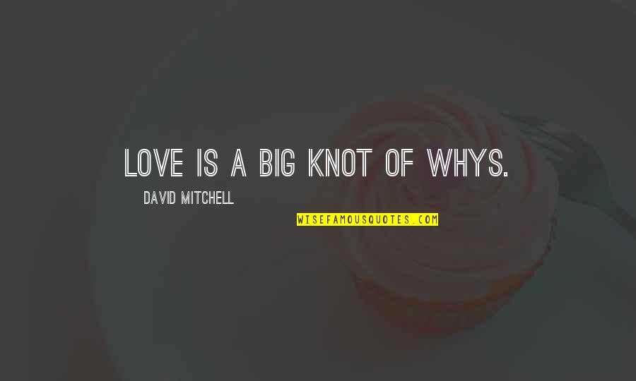 Rhetorician Quotes By David Mitchell: Love is a big knot of whys.