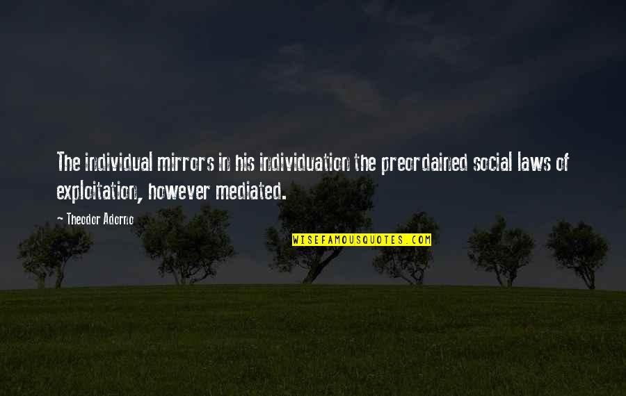 Rheumatologists Quotes By Theodor Adorno: The individual mirrors in his individuation the preordained Rheumatologists Quotes By Theodor Adorno: The individual mirrors in his individuation the preordained