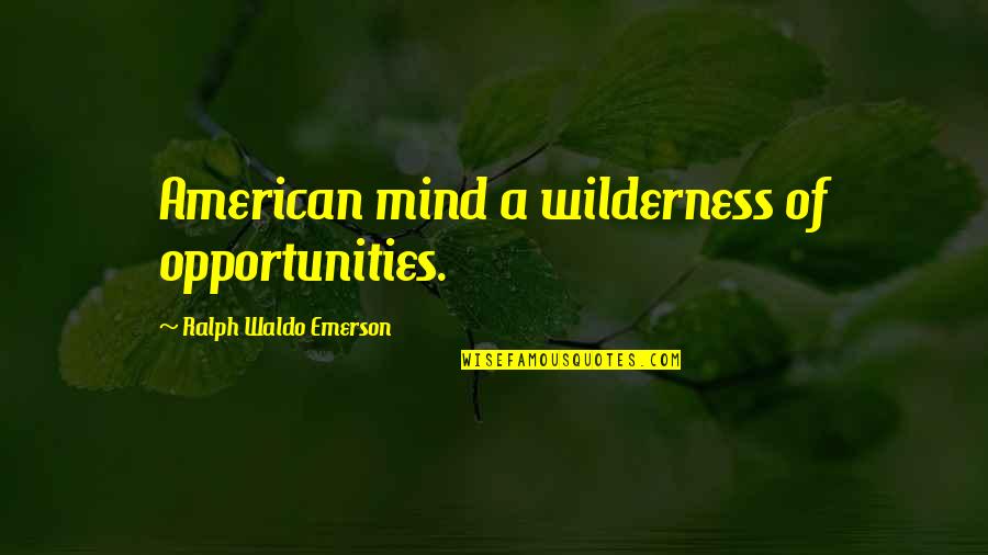 Rheumessa Quotes By Ralph Waldo Emerson: American mind a wilderness of opportunities.