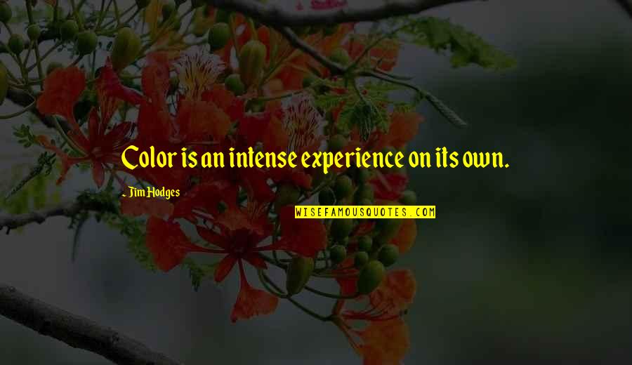 Rhinestones On Nails Quotes By Jim Hodges: Color is an intense experience on its own. Rhinestones On Nails Quotes By Jim Hodges: Color is an intense experience on its own.