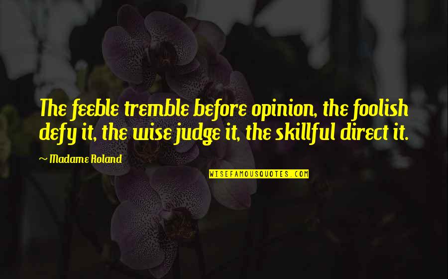 Rhoan Garnett Quotes By Madame Roland: The feeble tremble before opinion, the foolish defy Rhoan Garnett Quotes By Madame Roland: The feeble tremble before opinion, the foolish defy