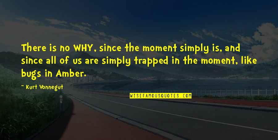 Rhylie Quotes By Kurt Vonnegut: There is no WHY, since the moment simply