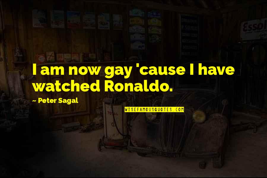 Rhythmstar Quotes By Peter Sagal: I am now gay 'cause I have watched Rhythmstar Quotes By Peter Sagal: I am now gay 'cause I have watched